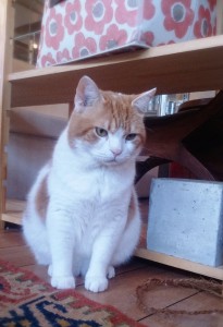 2015-04-25-15-29-56_deco