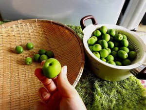 !cid_15c6e68a89691ef242e3