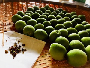 !cid_15c6e6d06fb2da9102d4