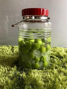 !cid_15c6e727fe4230774325