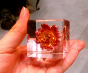 17-07-21-12-04-55-797_deco