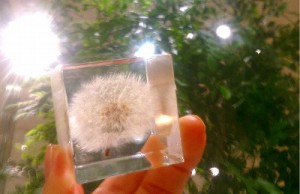 17-07-21-12-12-31-846_deco