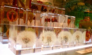 17-07-21-12-13-55-464_deco