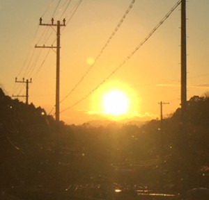 !cid_24C66D85-669B-4134-B69F-FA1E762BE509