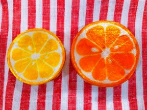 !cid_5FB5AB5B-F379-4FDF-8658-254D8865D2F7