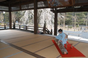 !cid_E03E9845-FCA2-4C98-9271-84864749A5A4