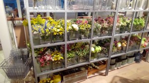 15171249810481874738623