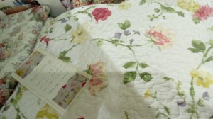 15232574519011142136863