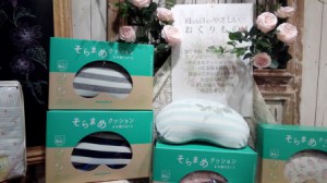 152395004874283728851