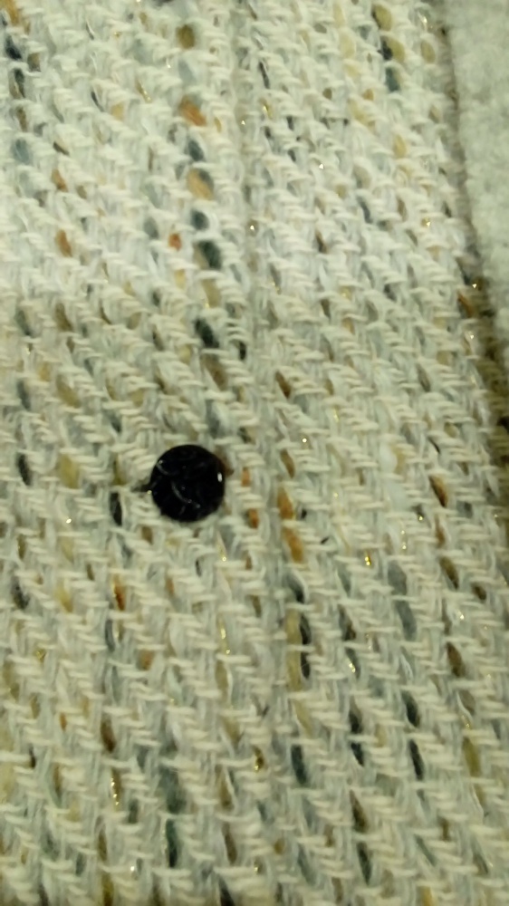 1541585919819596982616