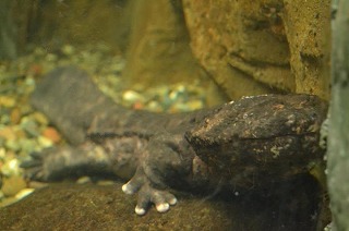 facebook_-1095979828