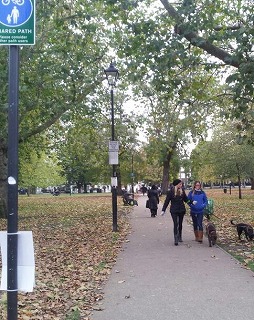 2013-11-16 23.45.52-1