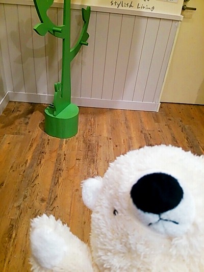 2015-03-02-20-30-31_deco