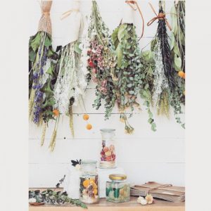 18380426_781182998713852_6699251556933435392_n