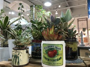 メール画像!cid_15c2570373cc21180276