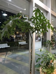 メール画像!cid_15c2570cd5a4489a7295