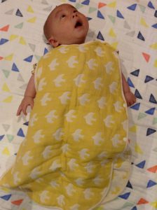 メール画像IMG_4493