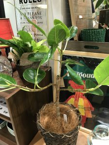 メール画像!cid_15c2572fb447bfd7f272