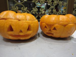 イオ草カボチャランタン