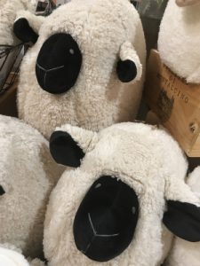 !cid_15f13efcb37b81342245