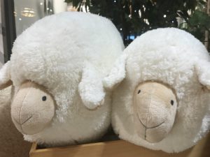 !cid_15f13efd386ef871a226