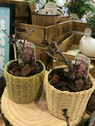 !cid_16194176f997c76ac635