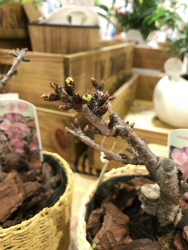 !cid_16194177698c720d1646