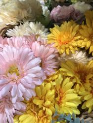 !cid_1619418d10a924e89692