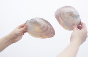 !cid_EE6B17D0-4CF1-41D8-94D7-CAA8470763F0