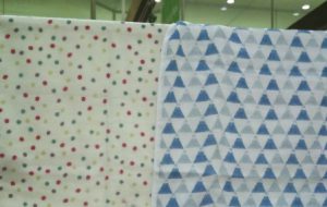 写真②(1)_20190209150958_20190209151224