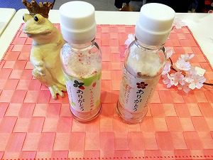 19-03-05-11-18-56-021_deco