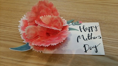 s-_storage_sdcard0_DCIM_Camera_1461746556524