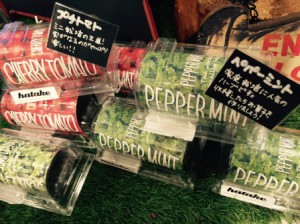 SubstandardFullSizeRender (2)