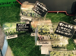 SubstandardFullSizeRender (3)