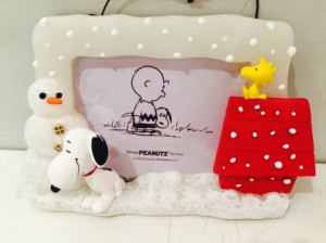 SubstandardFullSizeRender (6)