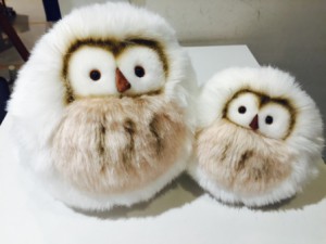 SubstandardFullSizeRender