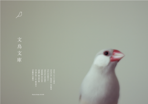 bunchobunko_top-9c98f67bad1045c7730924932b353edc391c3f50cec0563c79b4c0bf7f2ae521