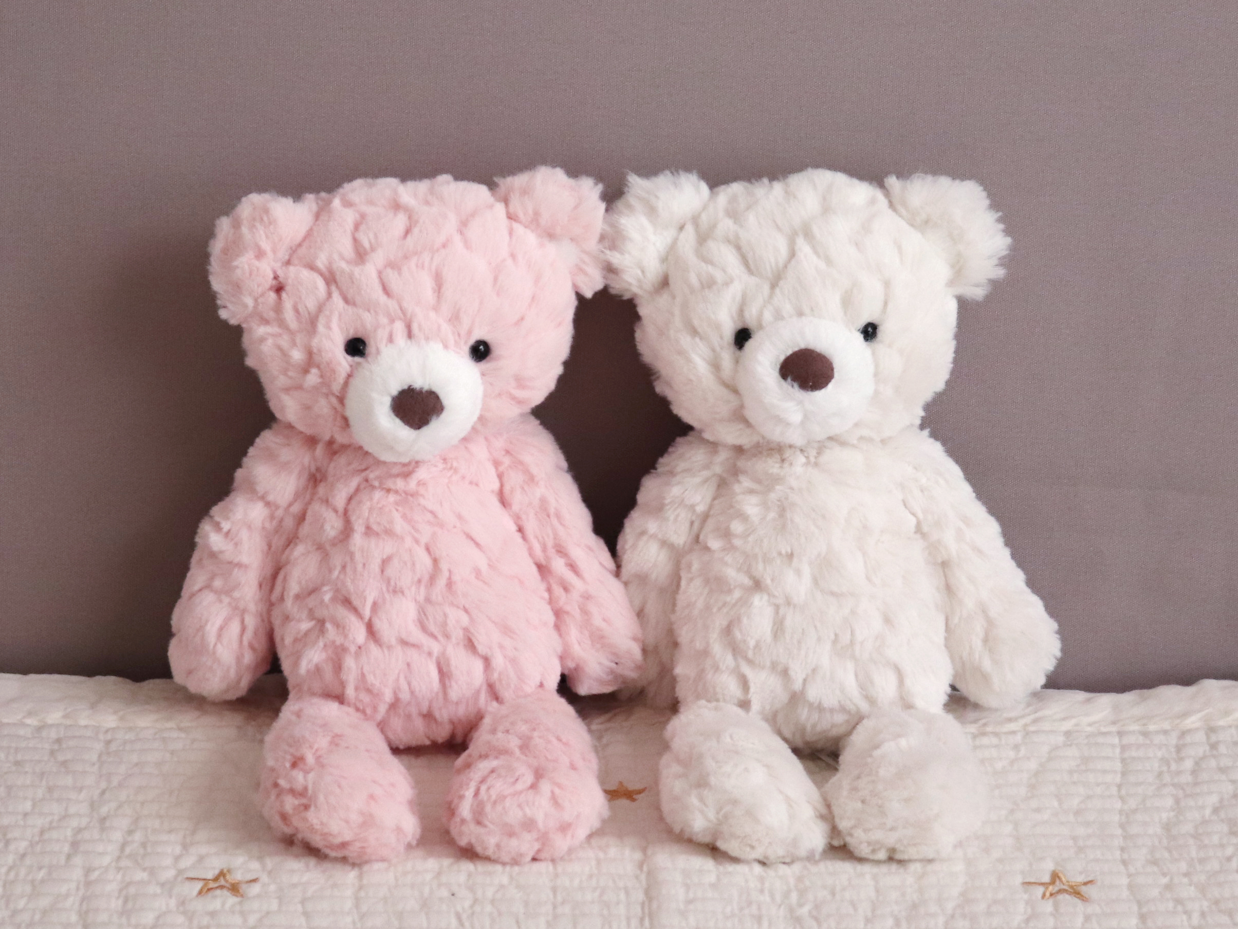 遠い海を渡って届く愛らしさ | Column - よみもの | イノブン